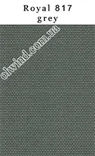 Royal 817 grey mini