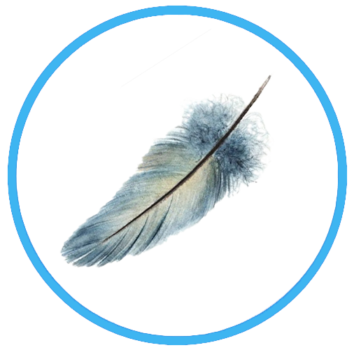 Легкі