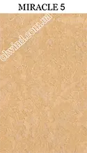 MIRACLE 5 mini