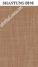 SHANTUNG 0816 mini